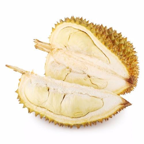 开云官方网站产品名称二